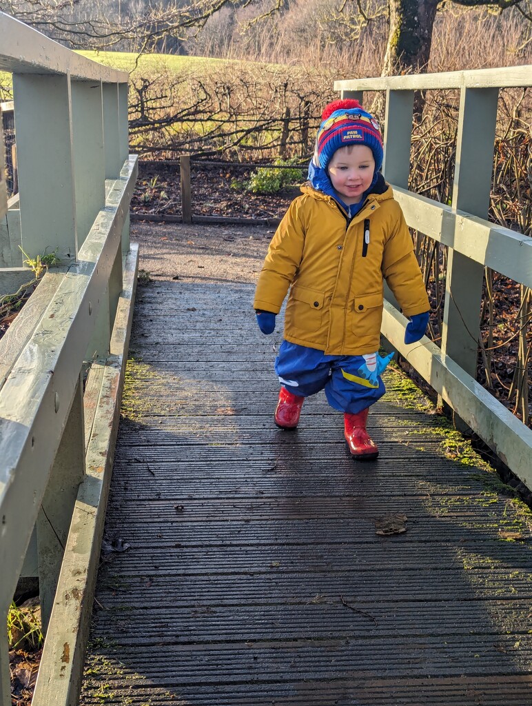 Crossing the bridge  by sarah19