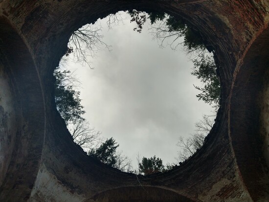 Looking Up. by kclaire