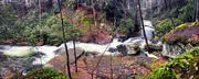 29th Dec 2023 - Wild Creek Falls Panorama 