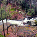 Wild Creek Falls Panorama  by pdulis