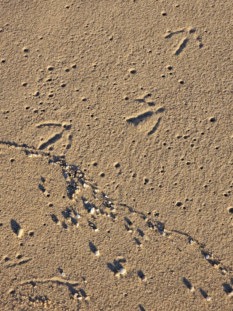 Footprints by edorreandresen