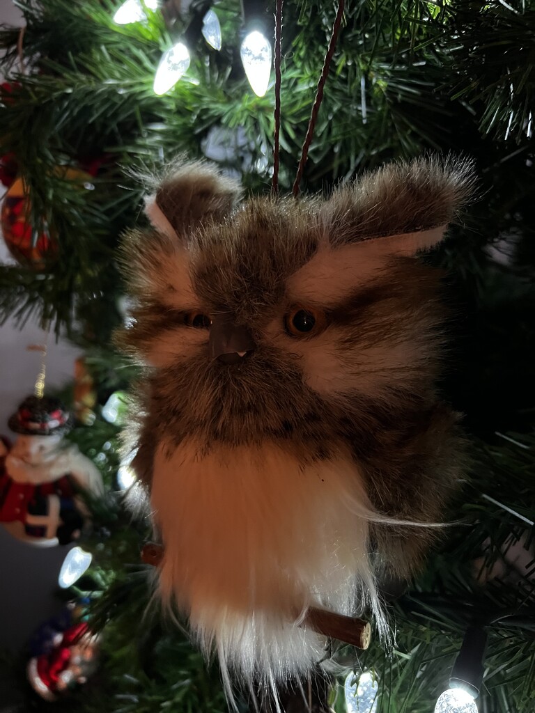 Christmas tree Owl by radiogirl