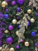 15th Dec 2023 - Festive Decorations 