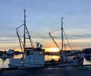 30th Dec 2023 - Harbour sunset