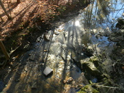 30th Dec 2023 - Creek at North Cary Park