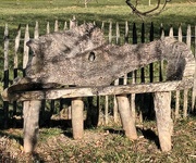 30th Dec 2023 - A rustic natural wood bench.