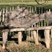 A rustic natural wood bench. by cordulaamann