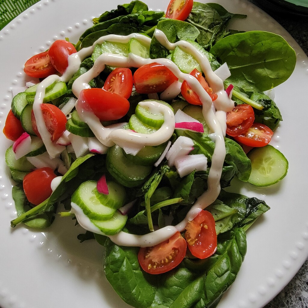 Salads Are So Good For You by shesays