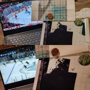 22nd Nov 2023 - Hockey and Stitching