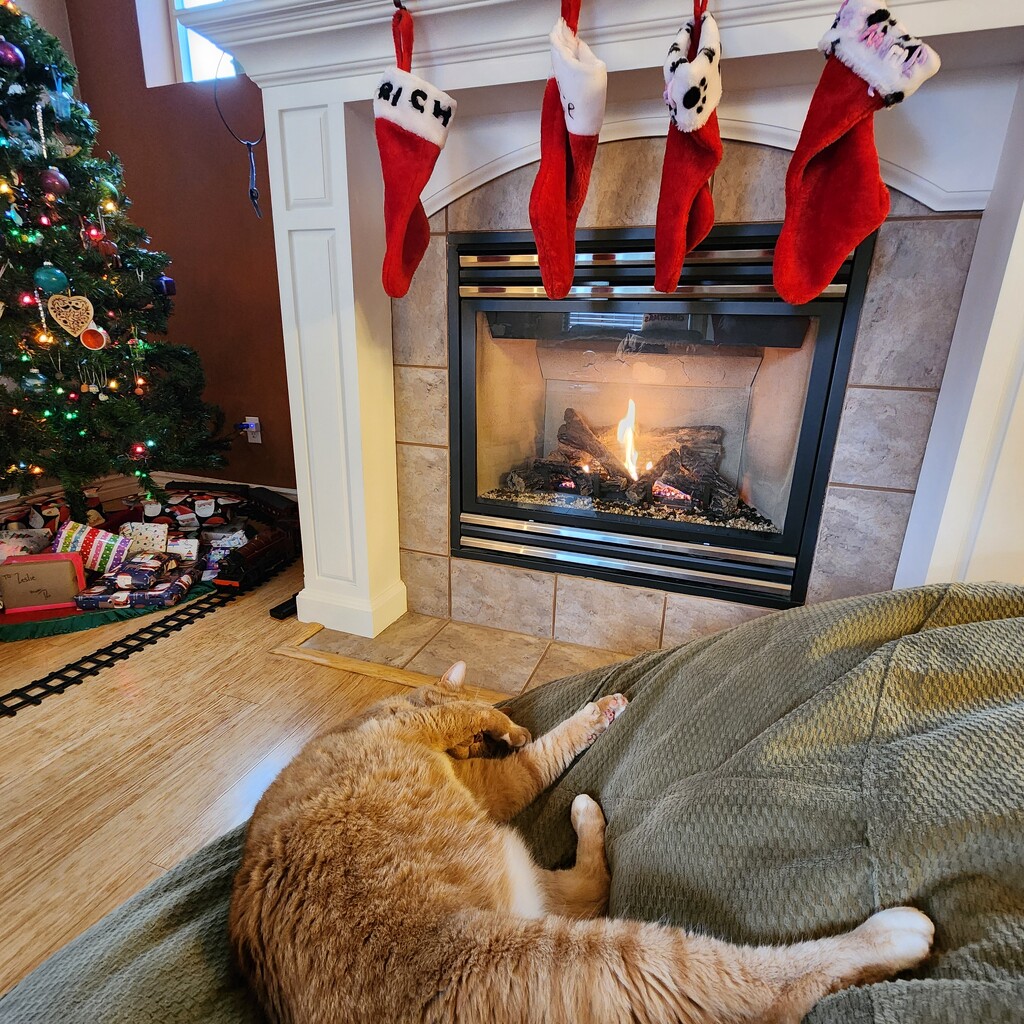 Cat by the fire by labpotter