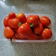 16th Aug 2023 - Tomatoes From Our Garden