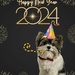 Happy 2024!!!!! by monicac