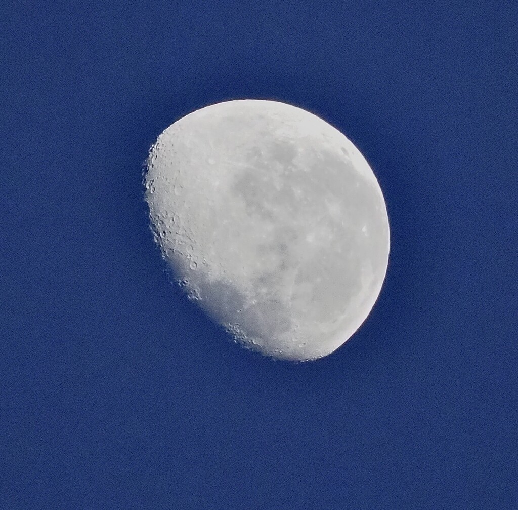 Happy New Year 2024 , last nights moon this morning 0600hrs by Dawn