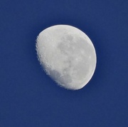 1st Jan 2024 - Happy New Year 2024 , last nights moon this morning 0600hrs