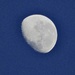 Happy New Year 2024 , last nights moon this morning 0600hrs by Dawn