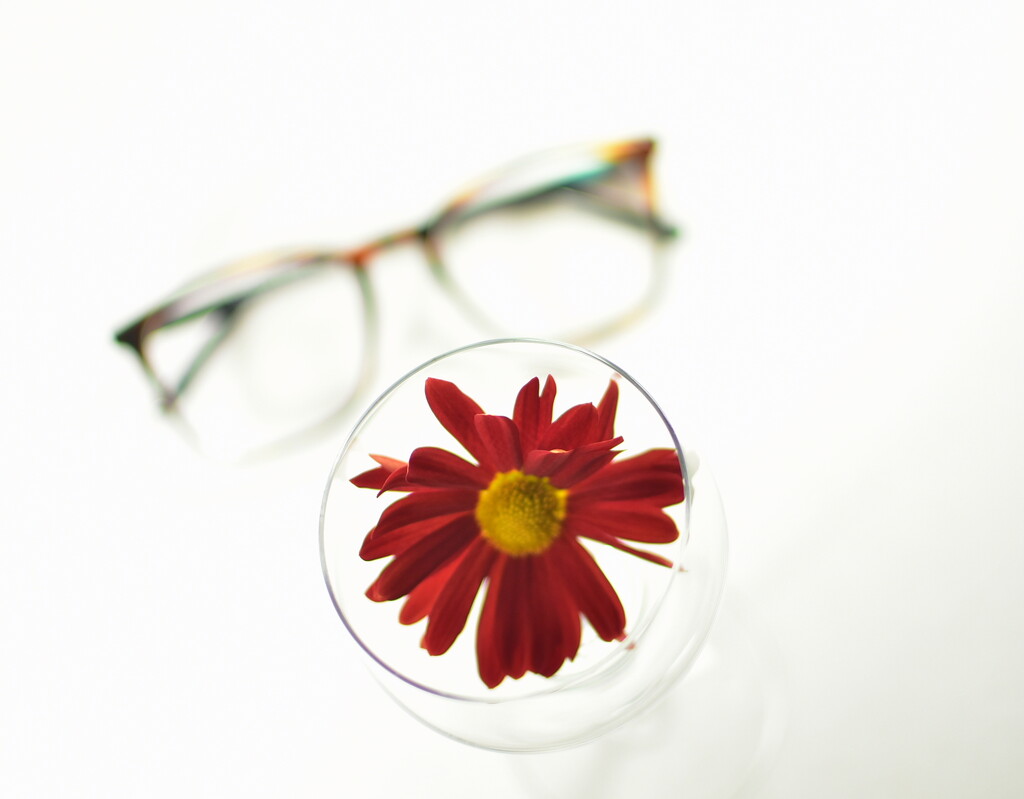 Glasses & Flower by jayberg