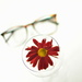Glasses & Flower by jayberg