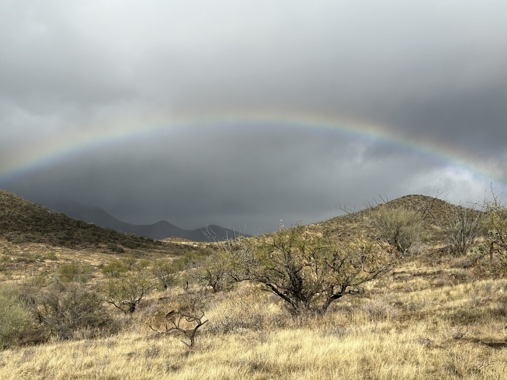 Rainbow over Elkhorn Ranch Arizona by swagman