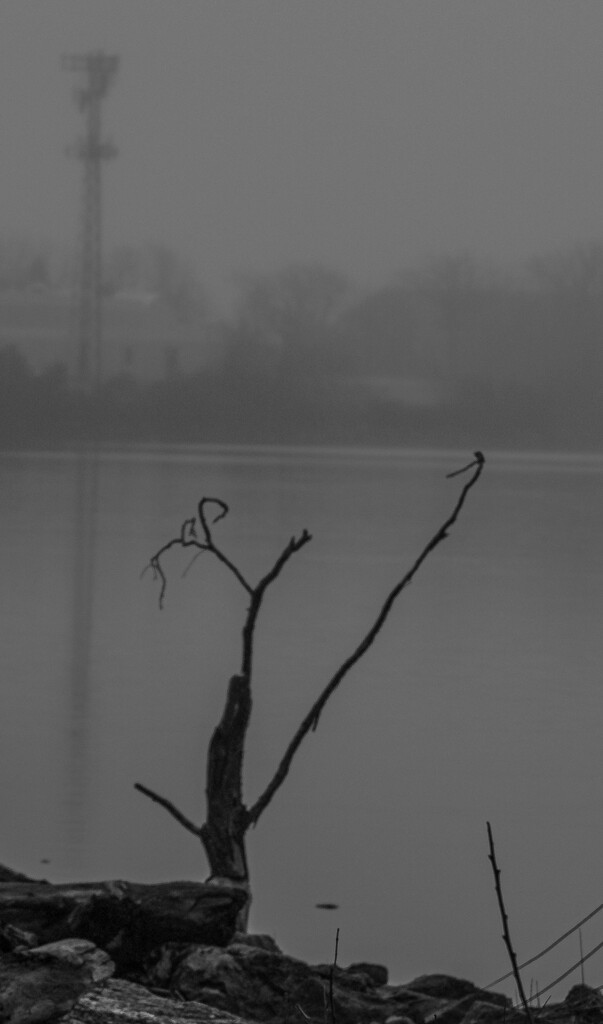 Misty River_ by darchibald