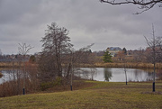 31st Dec 2023 - Winter Pond in Colour