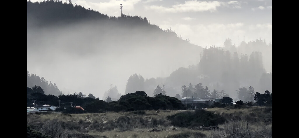 Misty morning in Gold Beach by pandorasecho