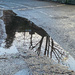 Practicing puddles by tiaj1402