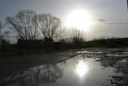 1st Jan 2024 - January 1st sunny and wet