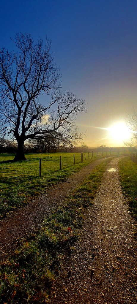 New Years Day Sunshine by antmcg69