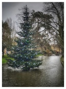 1st Jan 2024 - Christmas tree in the river