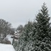 Delmont snowy pine trees 