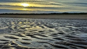 1st Jan 2024 - A Sea of wet Sand