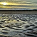 A Sea of wet Sand by carole_sandford