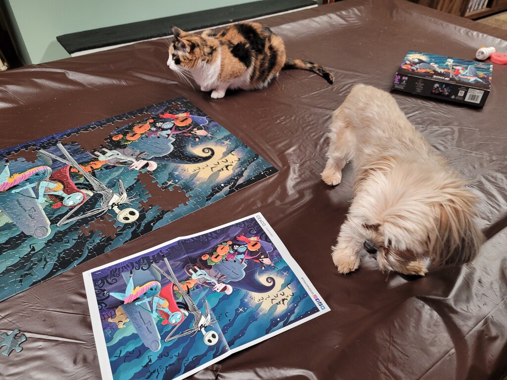 Helping with puzzle. Not. by scoobylou