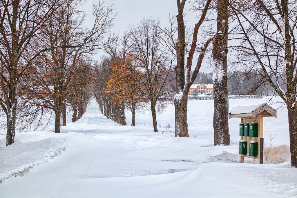 Winter scene by okvalle