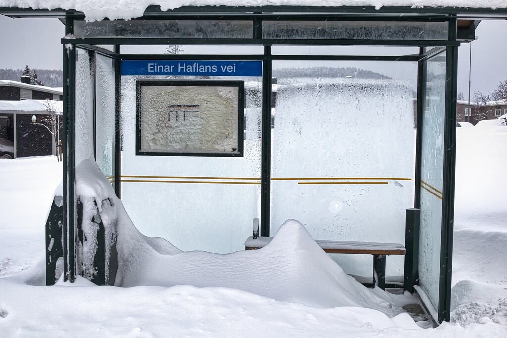 Bus shelter filled by okvalle