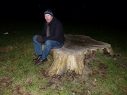 31st Jan 2011 - Goodbye old tree