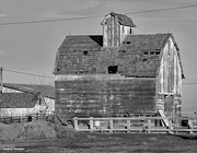 1st Jan 2024 - Old barn Black and White
