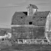 Old barn Black and White by larrysphotos