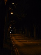 9th Feb 2011 - Dark Night walking
