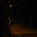 Dark Night walking by bexclendon