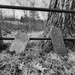 Cemeteries & Headstones by denisen66