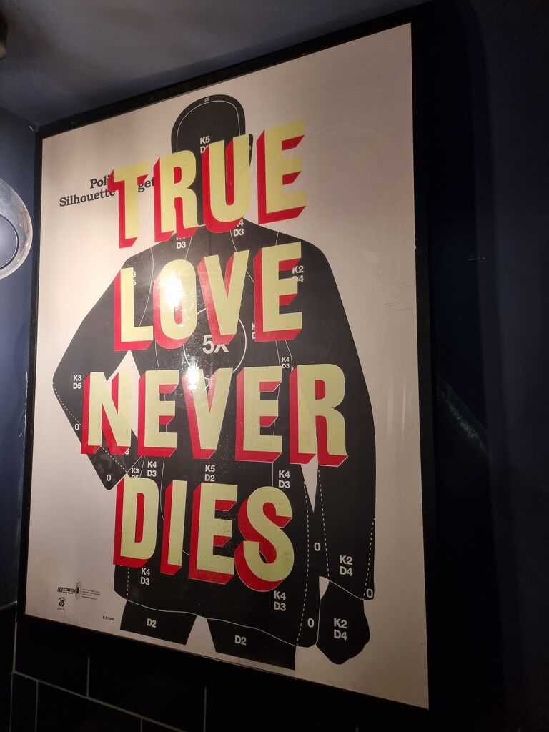 True Love Never Dies by chrisfowler