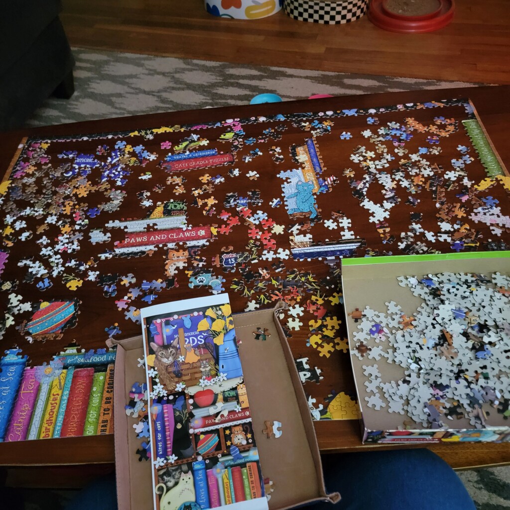 Puzzle Time by shesays