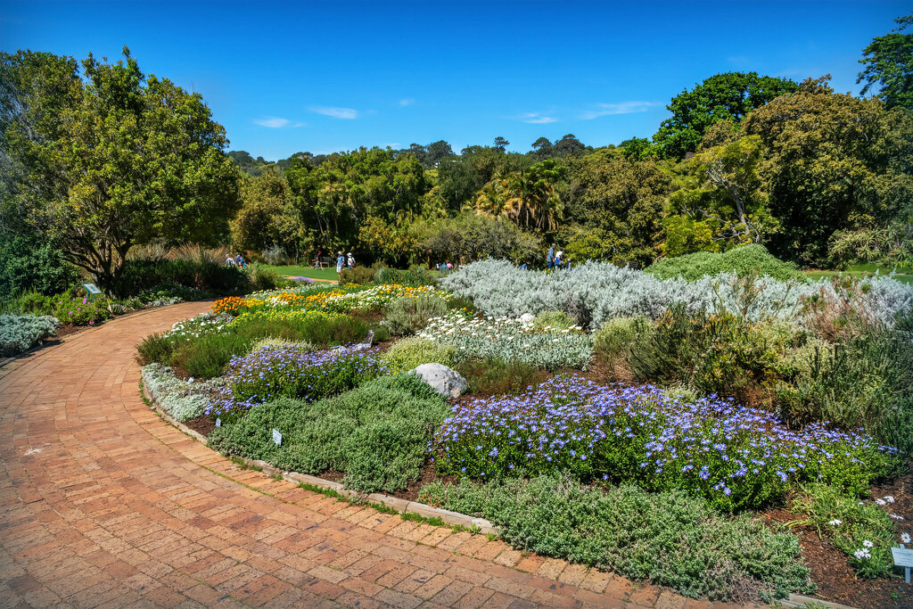 Kirstenbosch   by ludwigsdiana