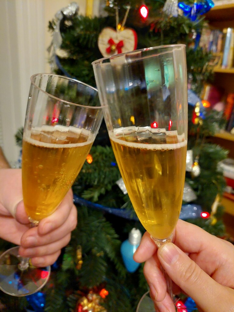 Cheers to a New Year!  by princessicajessica