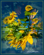 2nd Jan 2024 - Sunflower's