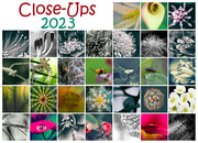 31st Dec 2023 - Close-up Collage