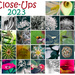 Close-up Collage by annied