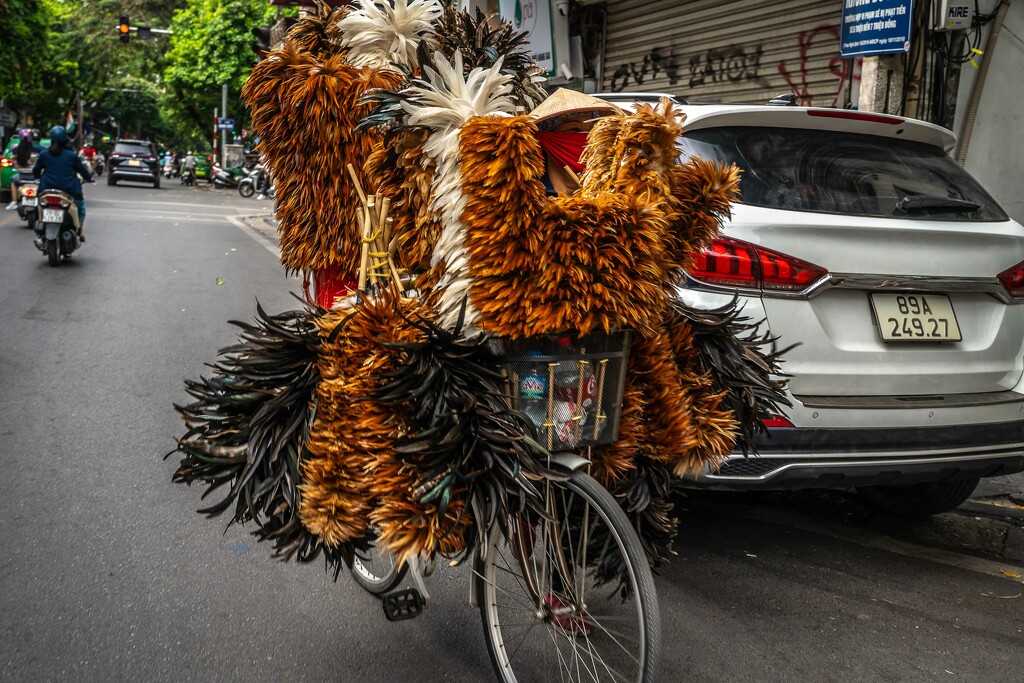 Feather duster anyone? Hanoi. by pusspup