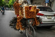 2nd Jan 2024 - Feather duster anyone? Hanoi.